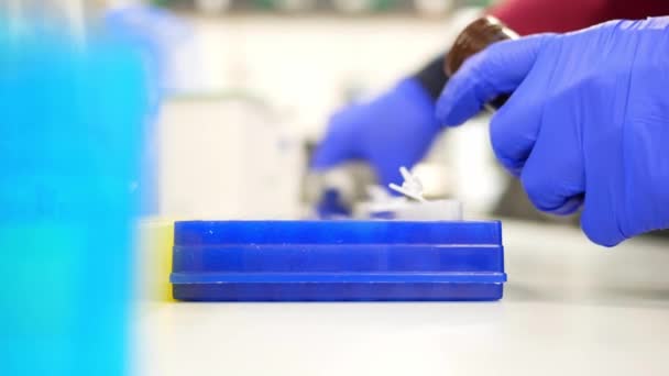 Investigador de laboratorio o enfermero pipeteando la muestra del paciente en un tubo de ensayo. Ingeniería genética o detección de enfermedades genéticas. Cáncer e investigación y ciencia de medicamentos — Vídeos de Stock