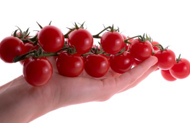 Beyaz arka planda izole edilmiş domatesler.