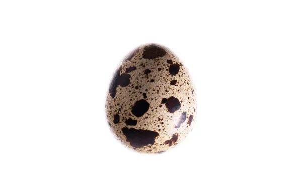 Перепелине яйце ізольоване на білому тлі — стокове фото