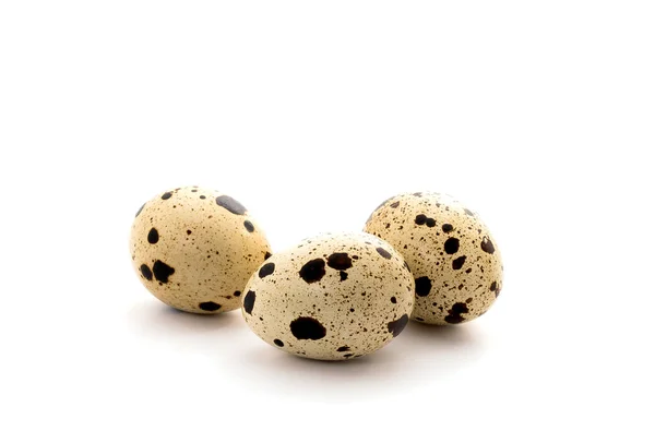 Huevo de codorniz aislado sobre fondo blanco — Foto de Stock