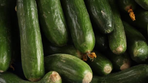 Frische grüne Gurkensammlung im Freien auf dem Markt — Stockvideo