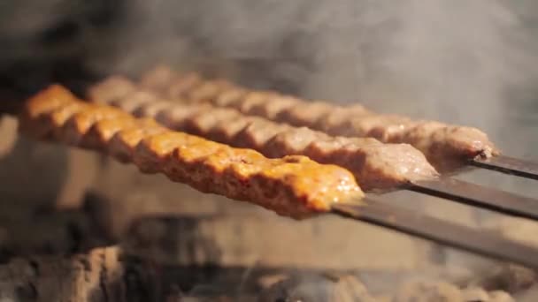 Grill grliling shish kebab — Stockvideo