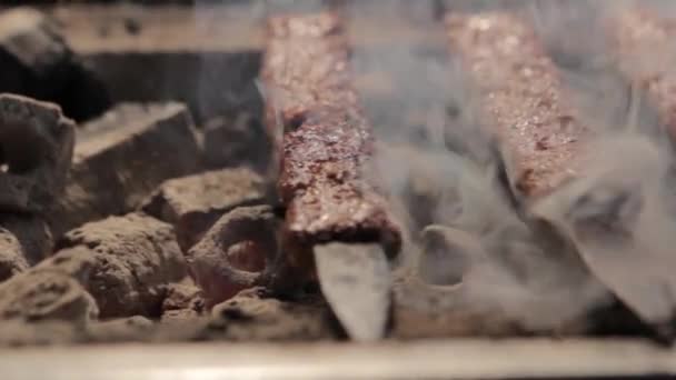 Grill grliling shish kebab — Wideo stockowe