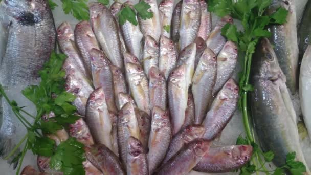 Свежие рыбы на рынке — стоковое видео