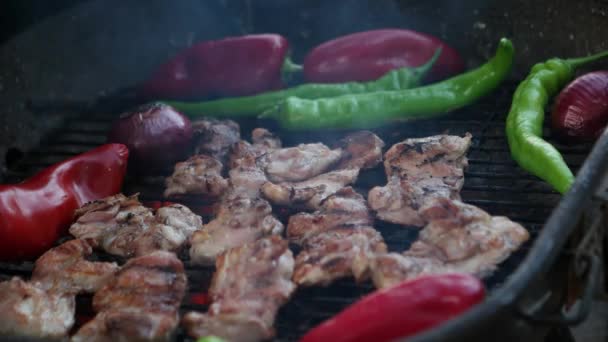 Parrilla de pollo en la barbacoa — Vídeo de stock