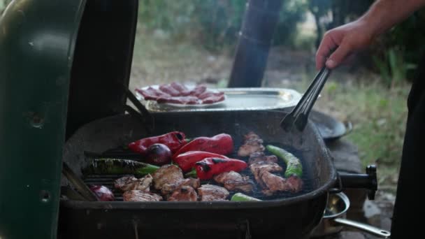 Parrilla de pollo en la barbacoa — Vídeos de Stock