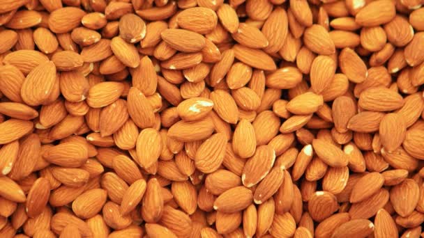 Amandes fraîches sur le marché — Video