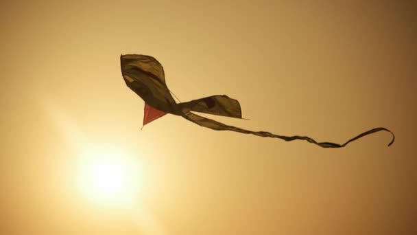 Kite flyger i solnedgången — Stockvideo