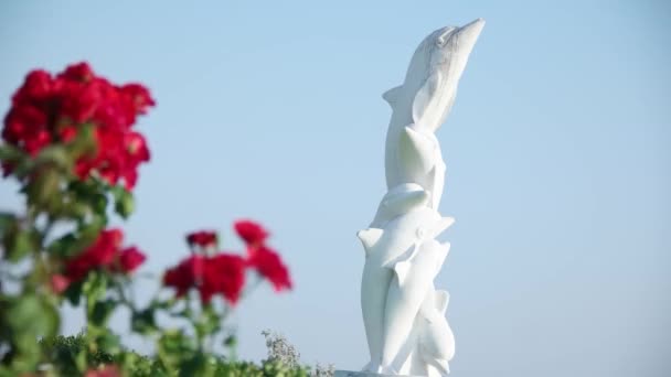 Karsiyaka delphine statue (yunuslar) — Stockvideo
