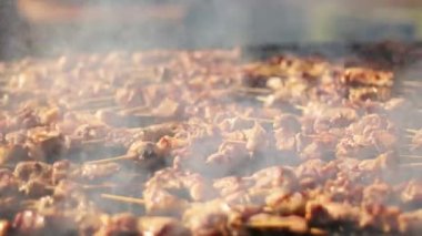 Barbekü Izgara Türk şiş kebap