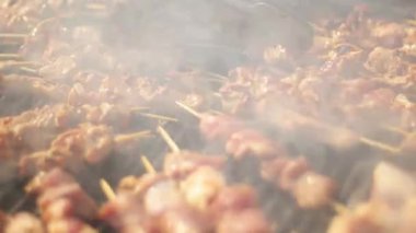 Barbekü Izgara Türk şiş kebap