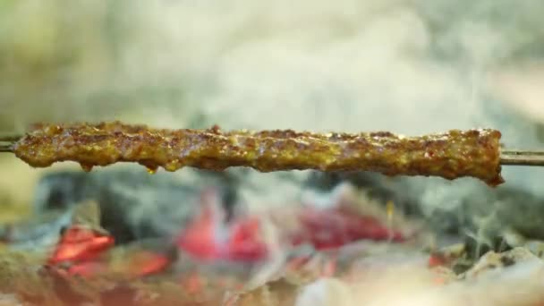 Barbecue grliling shish kebab — Stock Video