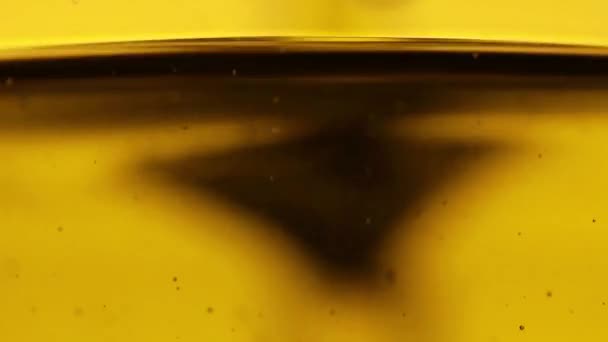 Pouring olive oil into bottle (slow motion) — Stock Video