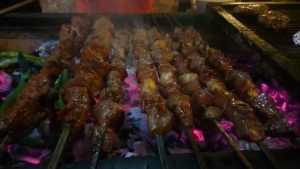 Barbecue grliling shish kebab — Video
