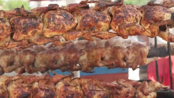 Grillad rostad kyckling på spett på Kardzhali turkiska festial - Bulgarien — Stockvideo