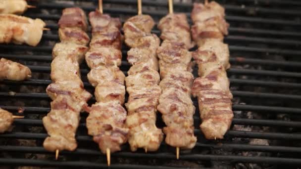 Barbecue grliling shish kebab — Stock Video