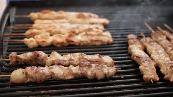 Barbecue grliling shish kebab — Stock Video