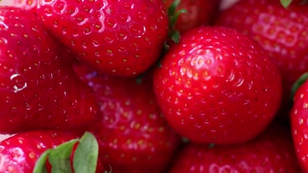 Fresas frescas girando con luz solar, vista superior, alejamiento del zoom — Vídeo de stock