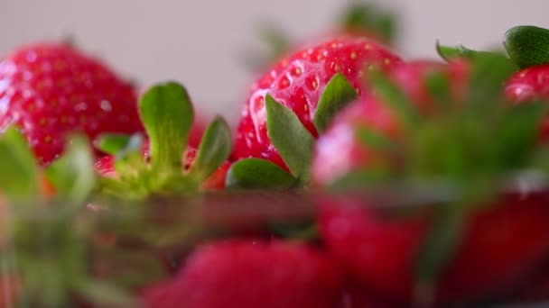 Verse aardbeien draaien met zonlicht. — Stockvideo