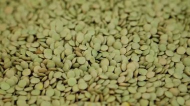 Dönen taze kahverengi mercimek