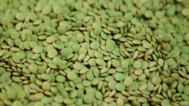 Dönen taze kahverengi mercimek