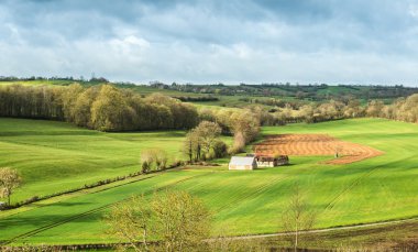 Ismarlayarak küçük çiftlik