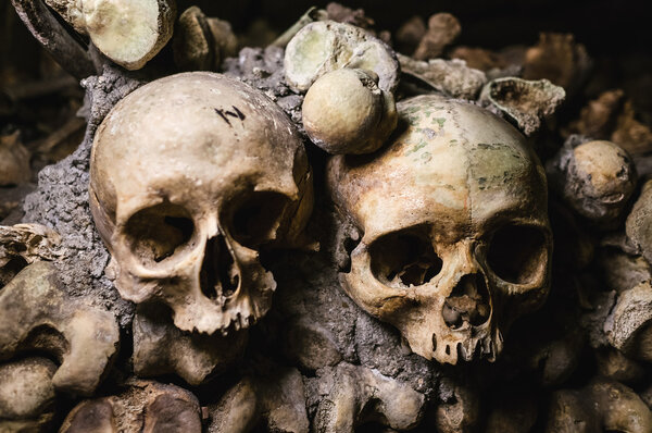 Human skulls on wall