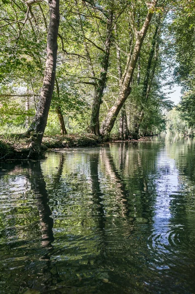 Canal no Marais Poitevin — Fotografia de Stock