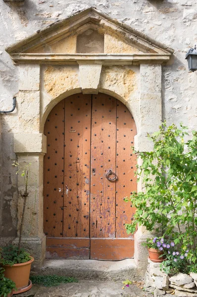 Oude bruine houten deur — Stockfoto