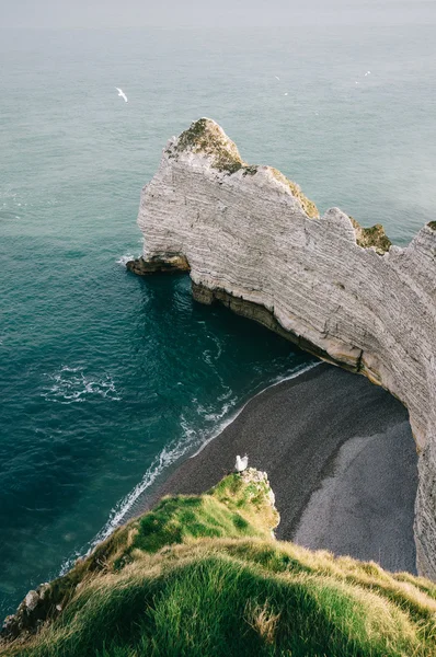 Witte stenen op de kust — Stockfoto