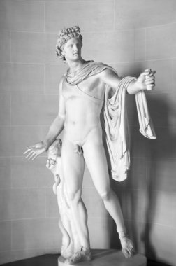 Apollo belvedere heykeli