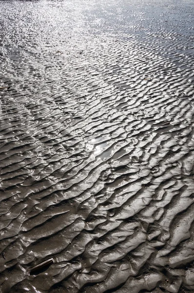 Texture of sandy beach — Stock Photo, Image