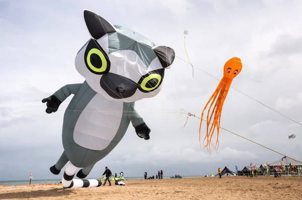 動物や魚の形の凧 — ストック写真