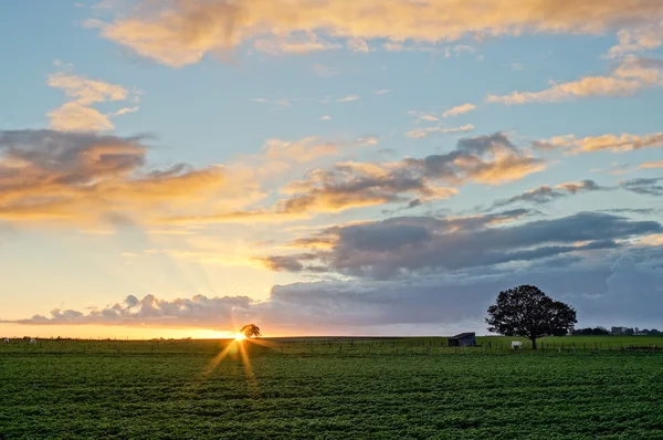 Puesta de sol en un pintoresco pasto de Normandía — Foto de Stock