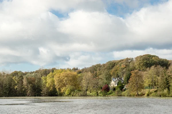 Een huis midden in bos — Stockfoto