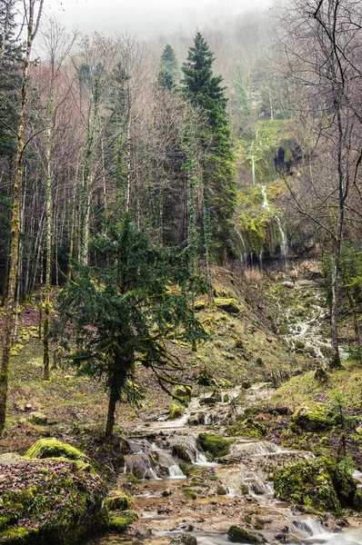 Bäcken i skogen med stenar täckta av lavar nära hedgedog vattenfall (Cascade du Herisson) i Jurabergen, Frankrike — Stockfoto