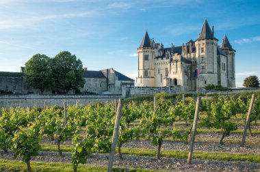 Saumur castle in the Loire Valley clipart