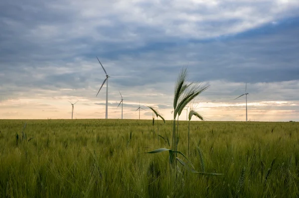 Generadores eólicos en campos verdes — Foto de Stock