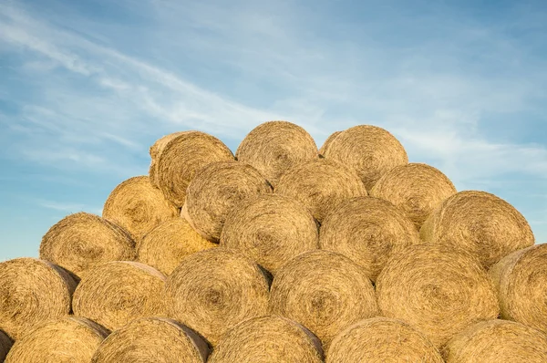 Yellow rolls of straw — Stock Photo, Image