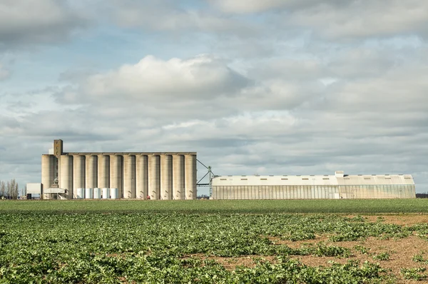 Graneros para almacenar trigo — Foto de Stock