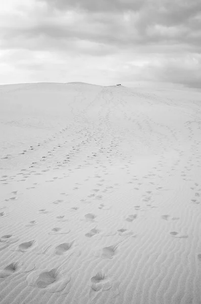 Footprints on the Pilat Dune — Stock Photo, Image