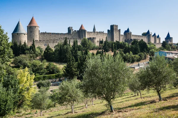 Olive field with the ancient city towers — Stock Photo, Image