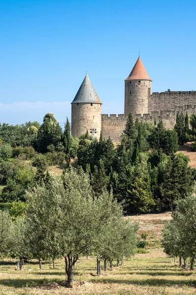 Оливкове поле з древніми міськими вежами — стокове фото