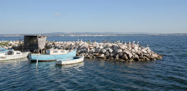 Fishing boats in the Etang de Thau — Stock Photo, Image