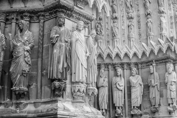 Devant la cathédrale Notre-Dame — Photo