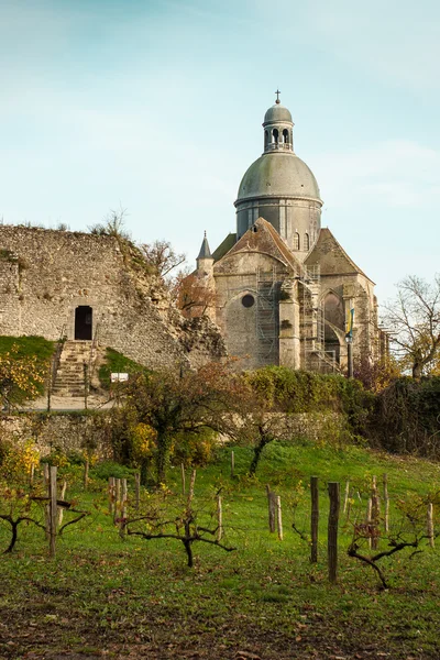 Vinyard in the front of the church — Stock Photo, Image