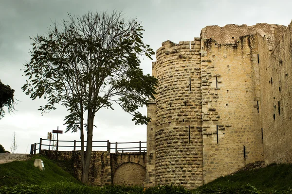 Ruínas do castelo medieval — Fotografia de Stock