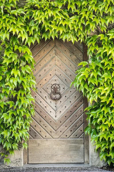 古い木製のドア — ストック写真