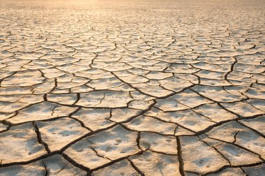 Kırık arkadaşlar arazi kurutulmuş  