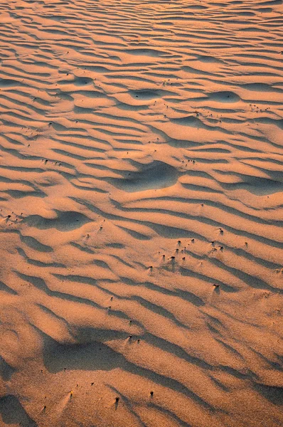 Fundo de areia de praia — Fotografia de Stock